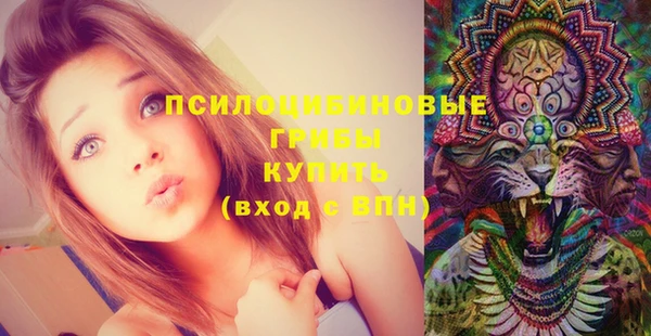 СК Ладушкин