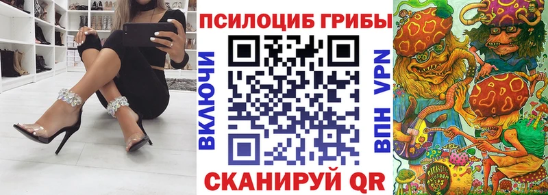 Псилоцибиновые грибы Cubensis  kraken ТОР  Юрга 